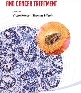 Biodiversity, Natural Products and Cancer Treatment