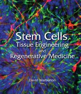 Stem Cells, Tissue Engineering And Regenerative Medicine