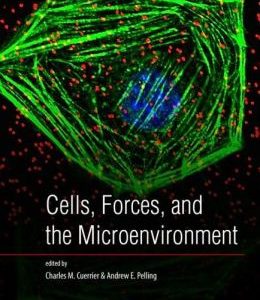Cells, Forces, and the Microenvironment