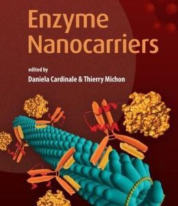 Enzyme Nanocarriers