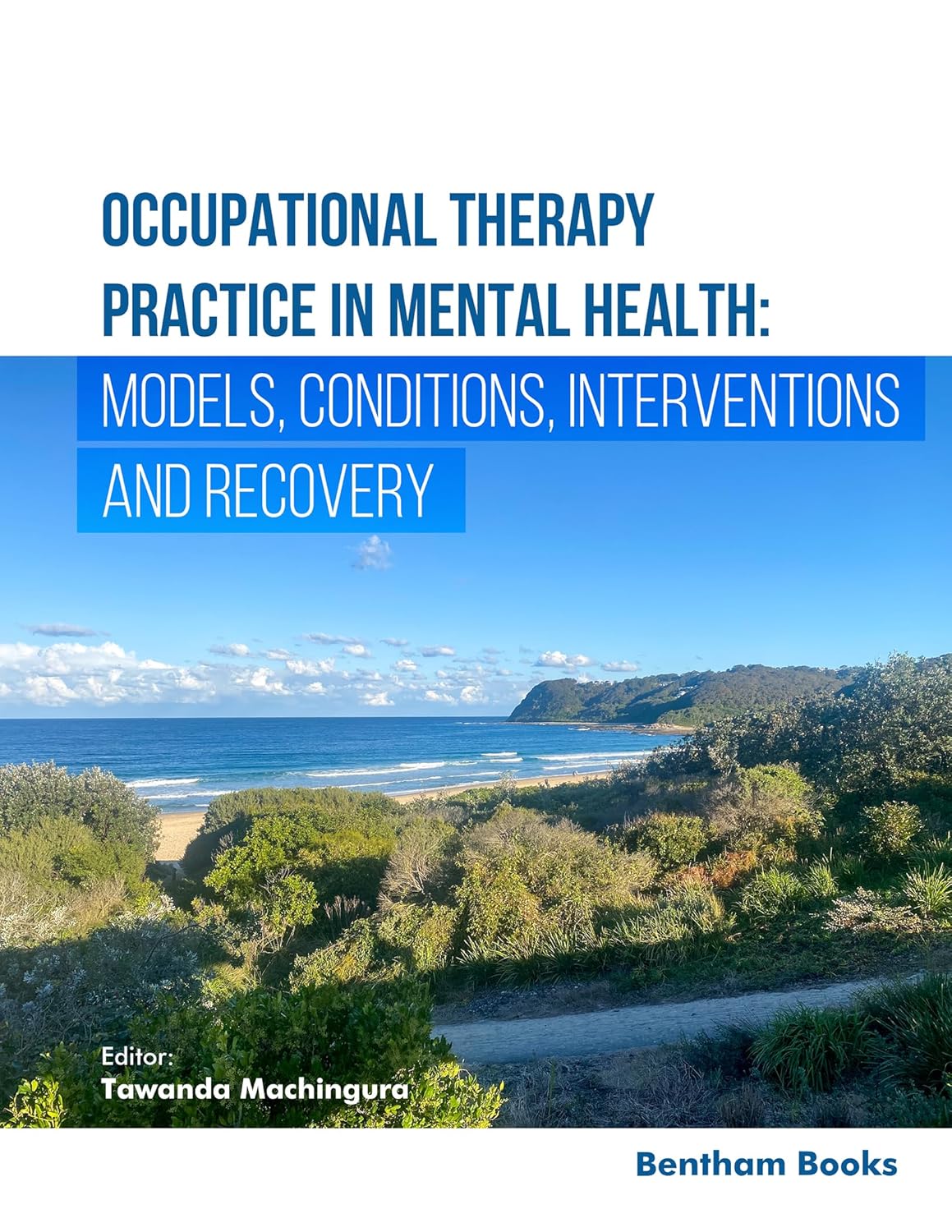 Occupational Therapy Practice in Mental Health: Models, Conditions, Interventions, and Recovery (EPUB)