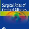 Surgical Atlas of Cerebral Gliomas (EPUB)