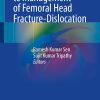 A Practical Guide to Management of Femoral Head Fracture-Dislocation (EPUB)