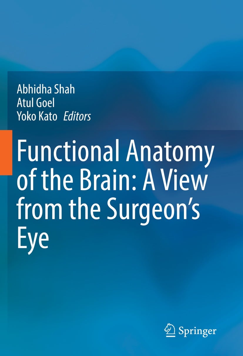 Functional Anatomy of the Brain: A View from the Surgeon’s Eye (Original PDF from Publisher)