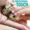 The Skills and Ethics of Professional Touch (EPUB)