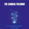 The Cardiac Fulcrum: The functional support of the heart (EPUB)