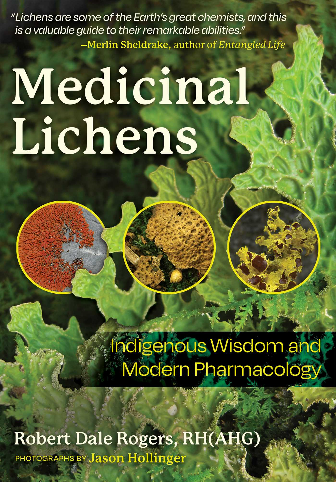 Medicinal Lichens: Indigenous Wisdom and Modern Pharmacology (EPUB)