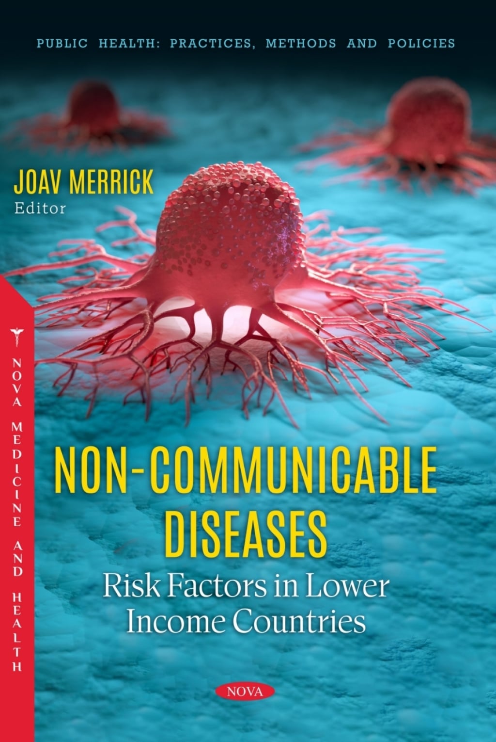 Non-Communicable Diseases: Risk Factors in Lower Income Countries (Original PDF from Publisher)