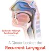 A Closer Look at the Recurrent Laryngeal Nerve (Original PDF from Publisher)