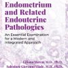 Endometrium and Related Endouterine Pathologies: An Essential Examination for a Modern and Integrated Approach (Original PDF from Publisher)