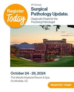 9th Annual Surgical Pathology Update – Diagnostic Pearls for the Practicing Pathologist 2024 (Videos)