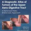 A Diagnostic Atlas of Tumors of the Upper Aero-Digestive Tract: A Transnasal Video Endoscopic Approach (Original PDF from Publisher)