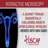 A Journey Through Diagnostically Challenging Areas in Gynecologic Pathology Updated with New Cases 2019 (Videos)