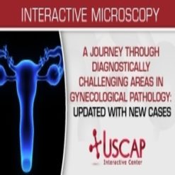 A Journey Through Diagnostically Challenging Areas in Gynecologic Pathology Updated with New Cases 2019 (Videos)