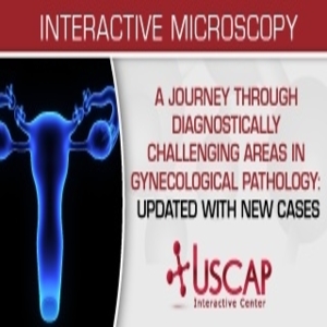 A Journey Through Diagnostically Challenging Areas in Gynecologic Pathology Updated with New Cases 2019 (Videos)