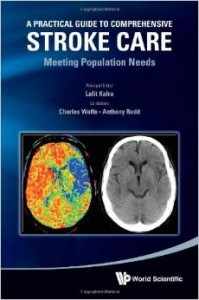 A Practical Guide to Comprehensive Stroke Care: Meeting Population Needs (Original PDF from Publisher)