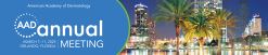 AAD 2025 Annual Meeting On-Demand (Videos with subtitles)