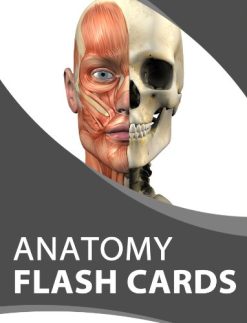 Anatomy Flash Cards (Sinasi Tas) (EPUB)