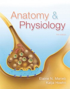 Anatomy & Physiology (Marieb) (5th Edition)