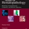 Atlas of Hematopathology: Morphology, Immunophenotype, Cytogenetics, and Molecular Approaches (Original PDF from Publisher)