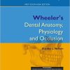 Wheeler’s Dental Anatomy, Physiology and Occlusion-INTERNATIONAL EDITION (Original PDF from Publisher)