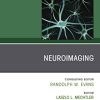 Neuroimaging, An Issue of Neurologic Clinics (Volume 38-1) (The Clinics: Radiology, Volume 38-1) (Original PDF from Publisher)