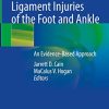 Tendon and Ligament Injuries of the Foot and Ankle: An Evidence-Based Approach (Original PDF from Publisher)