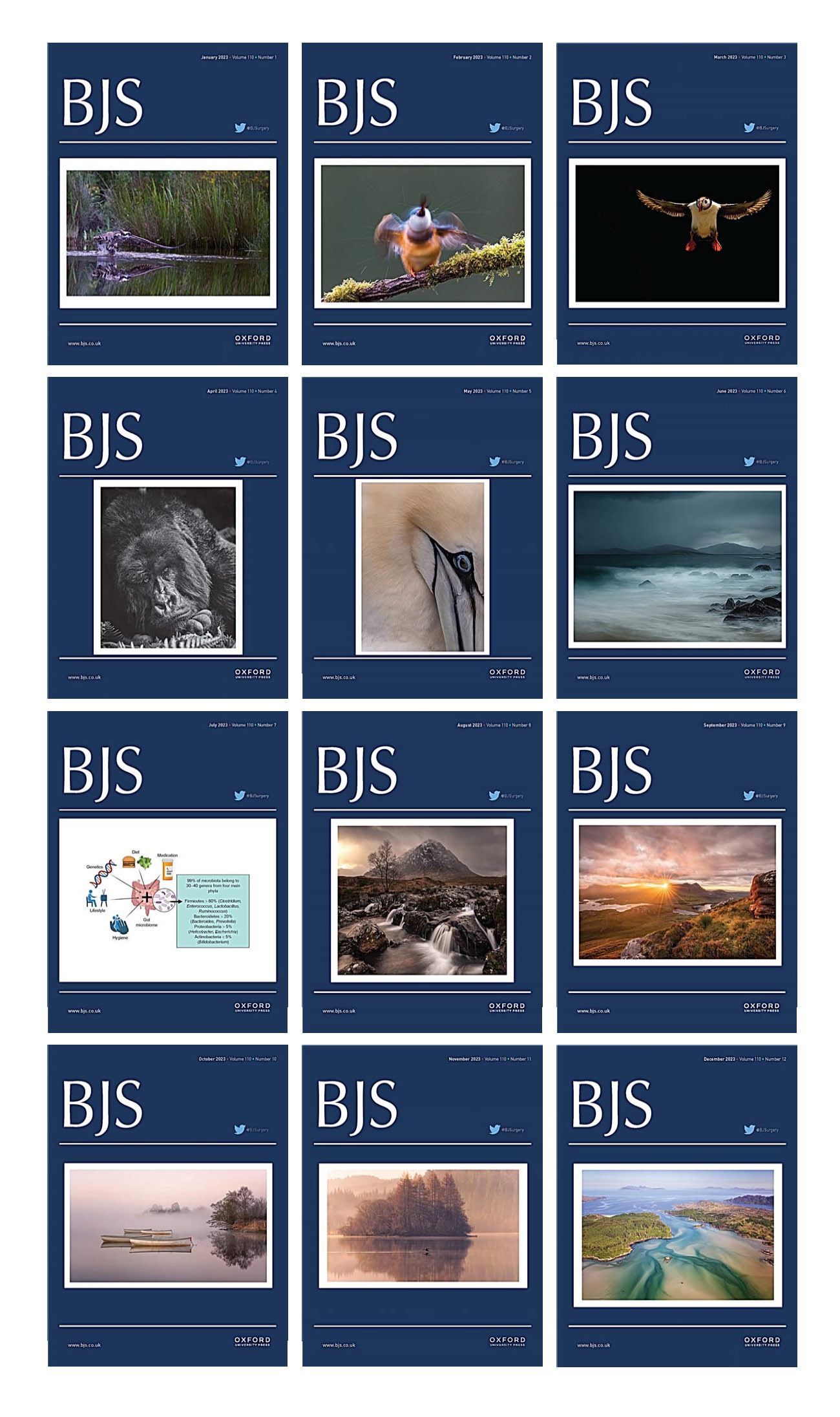 British Journal of Surgery 2023 Full Archives (True PDF)