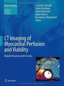CT Imaging of Myocardial Perfusion and Viability: Beyond Structure and Function (Medical Radiology / Diagnostic Imaging) (Original PDF from Publisher)