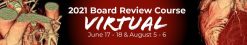 2021 Board Review and Update of Cardiovascular CT Course (Videos)