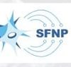 28e Journées de la Société Francophone du Nerf Périphérique (SFNP) 2024 (Videos)