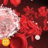 The Brigham and Dana-Farber Board Review and Comprehensive Update in Hematology and Oncology 2022 (Videos)