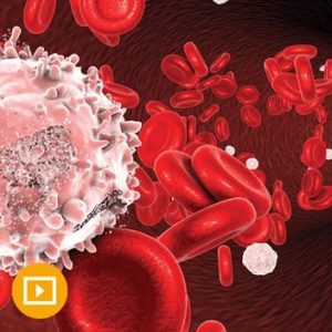 The Brigham and Dana-Farber Board Review and Comprehensive Update in Hematology and Oncology 2022 (Videos)