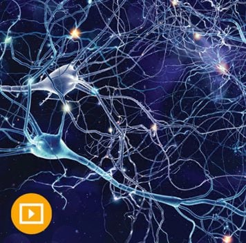 Neurology for Non-Neurologists 2022 (Videos)
