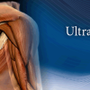 Pegasus Musculoskeletal Ultrasound eCourse 2023 (Videos)