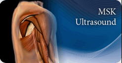 Pegasus Musculoskeletal Ultrasound eCourse 2023 (Videos)