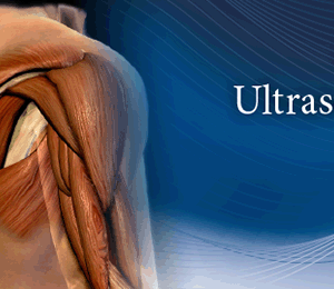 Pegasus Musculoskeletal Ultrasound eCourse 2023 (Videos)