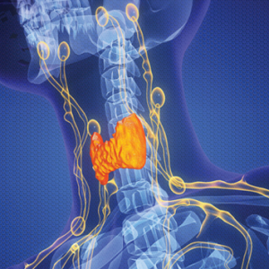 The Brigham Board Review and Comprehensive Update in Endocrinology 2025 (Videos + Slides PDFs)