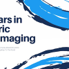 Seminars in Pediatric Neuroimaging 2022 (SPIN 2022) (Videos)