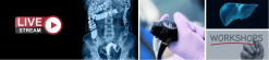 Harvard The Comprehensive 2023 Gastroenterology Update (Videos)