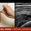 Fundamentals of Musculoskeletal Ultrasound 2020 (Videos)