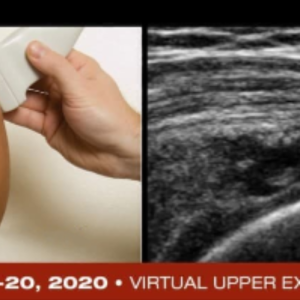 Fundamentals of Musculoskeletal Ultrasound 2020 (Videos)
