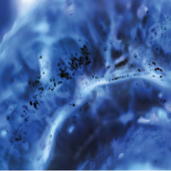 Molecular Diagnostics: Cancer Diagnosis and Patient Management 2021 (Videos)
