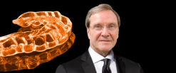 OHI-S Occlusion, TMJ dysfunctions and orofacial pain from A to Z (Videos)