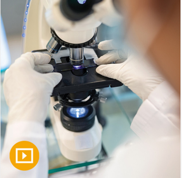 Need-to-Know Pathology: A Review for Physicians in a Hurry 2023 (Videos)