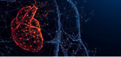 Harvard Update in Clinical Cardiology 2025 (Videos + Slides PDFs)