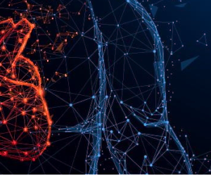 Harvard Update in Clinical Cardiology 2025 (Videos + Slides PDFs)