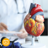 The Brigham Board Review and Comprehensive Update in Cardiology 2023 (Videos)