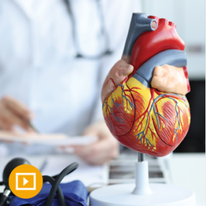 The Brigham Board Review and Comprehensive Update in Cardiology 2023 (Videos)