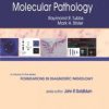 Cell and Tissue Based Molecular Pathology: A Volume in the Foundations in Diagnostic Pathology Series (Original PDF from Publisher)